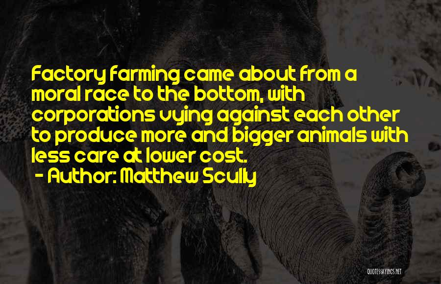 Matthew Scully Quotes: Factory Farming Came About From A Moral Race To The Bottom, With Corporations Vying Against Each Other To Produce More