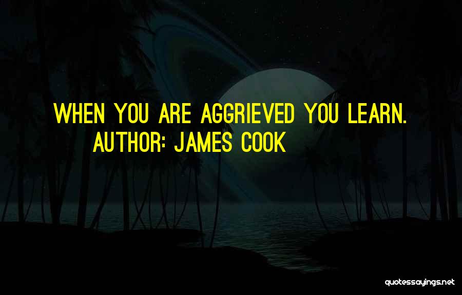 James Cook Quotes: When You Are Aggrieved You Learn.