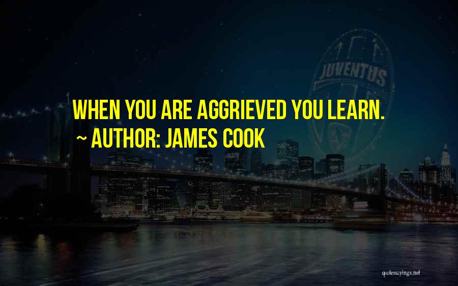 James Cook Quotes: When You Are Aggrieved You Learn.