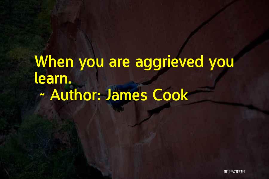 James Cook Quotes: When You Are Aggrieved You Learn.