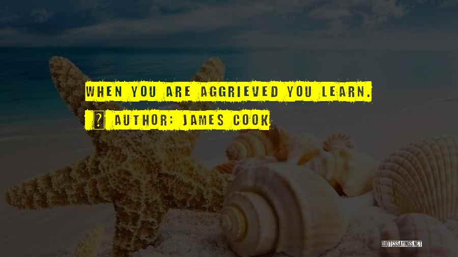 James Cook Quotes: When You Are Aggrieved You Learn.