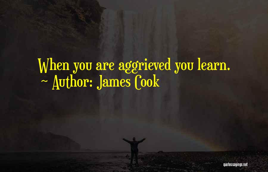 James Cook Quotes: When You Are Aggrieved You Learn.