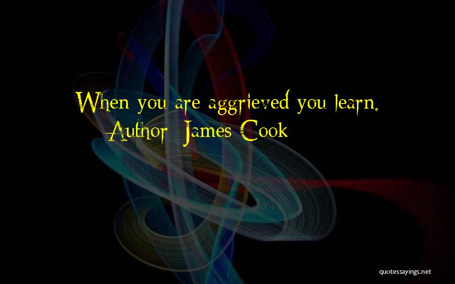 James Cook Quotes: When You Are Aggrieved You Learn.