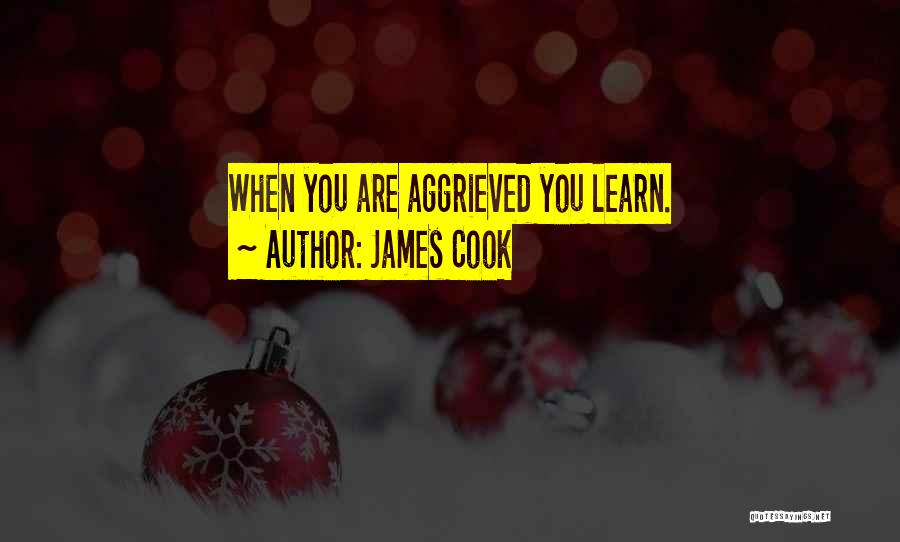 James Cook Quotes: When You Are Aggrieved You Learn.