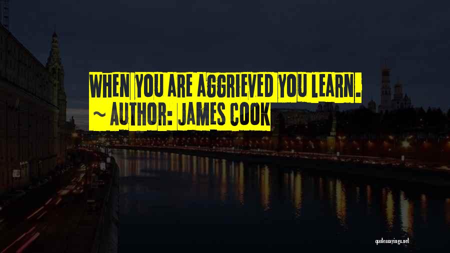 James Cook Quotes: When You Are Aggrieved You Learn.