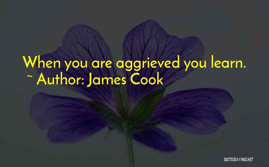 James Cook Quotes: When You Are Aggrieved You Learn.