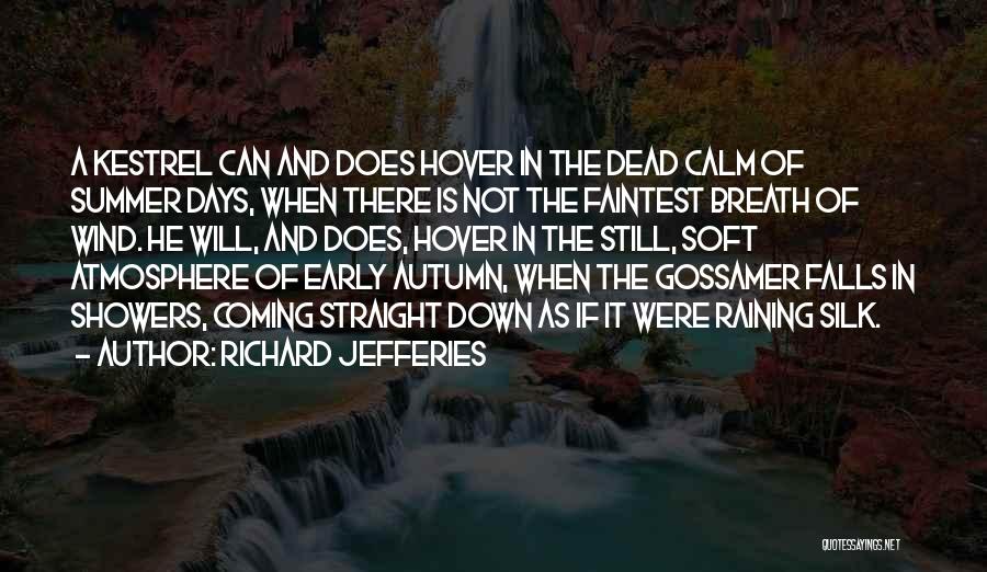 Richard Jefferies Quotes: A Kestrel Can And Does Hover In The Dead Calm Of Summer Days, When There Is Not The Faintest Breath