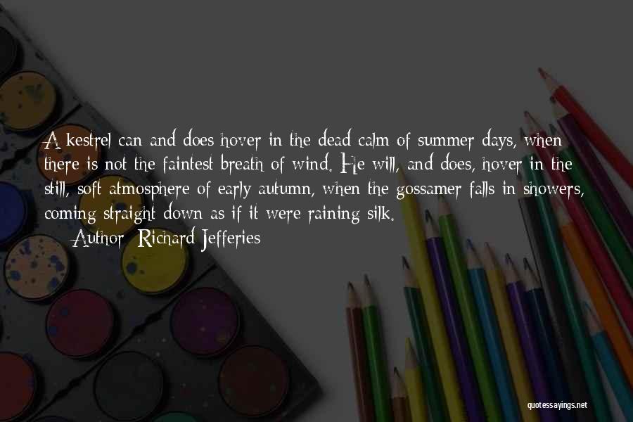 Richard Jefferies Quotes: A Kestrel Can And Does Hover In The Dead Calm Of Summer Days, When There Is Not The Faintest Breath