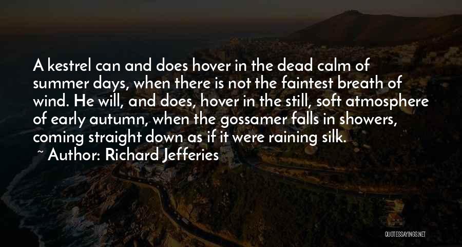 Richard Jefferies Quotes: A Kestrel Can And Does Hover In The Dead Calm Of Summer Days, When There Is Not The Faintest Breath