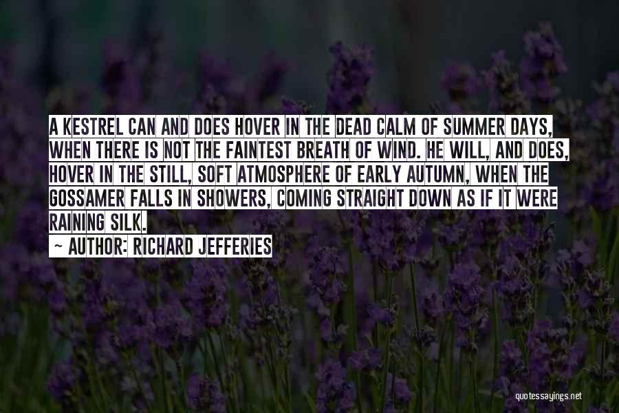 Richard Jefferies Quotes: A Kestrel Can And Does Hover In The Dead Calm Of Summer Days, When There Is Not The Faintest Breath