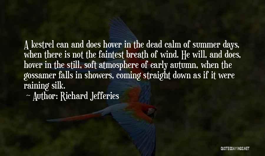 Richard Jefferies Quotes: A Kestrel Can And Does Hover In The Dead Calm Of Summer Days, When There Is Not The Faintest Breath