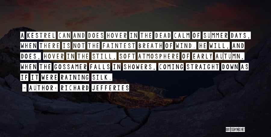 Richard Jefferies Quotes: A Kestrel Can And Does Hover In The Dead Calm Of Summer Days, When There Is Not The Faintest Breath