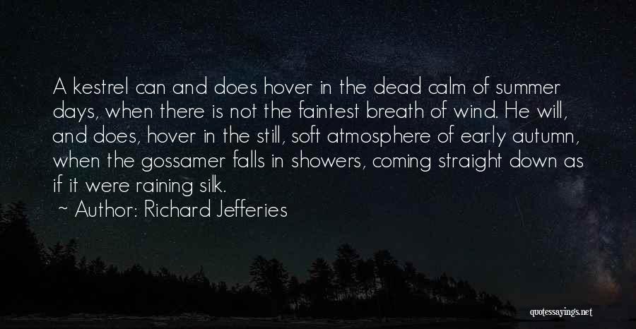 Richard Jefferies Quotes: A Kestrel Can And Does Hover In The Dead Calm Of Summer Days, When There Is Not The Faintest Breath