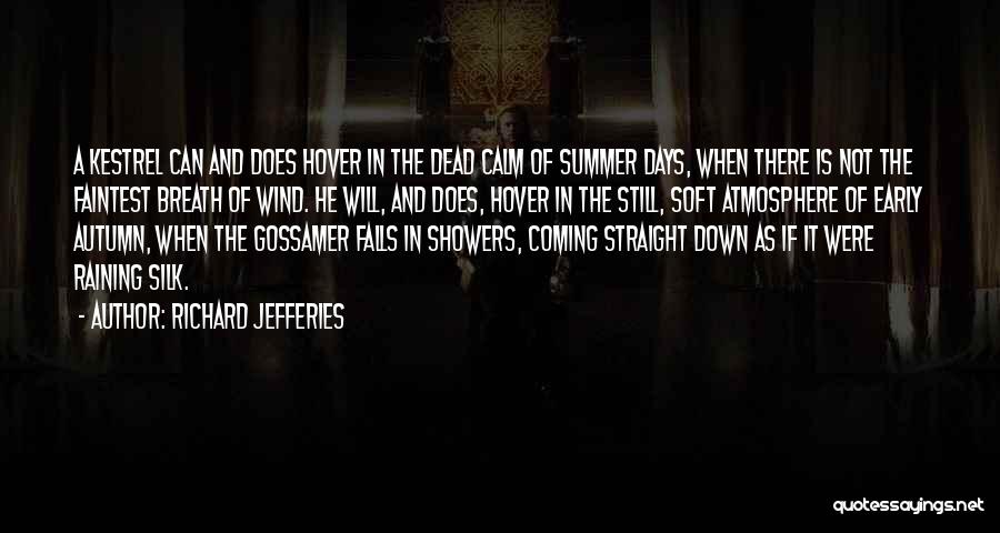 Richard Jefferies Quotes: A Kestrel Can And Does Hover In The Dead Calm Of Summer Days, When There Is Not The Faintest Breath