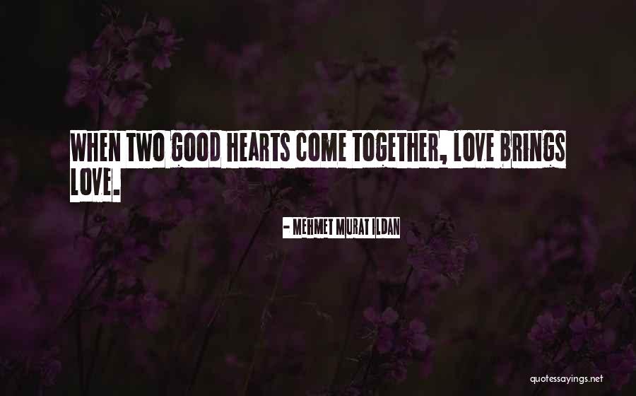 5mm Shelf Quotes By Mehmet Murat Ildan 5mm Shelf Quotes By Mehmet Murat Ildan