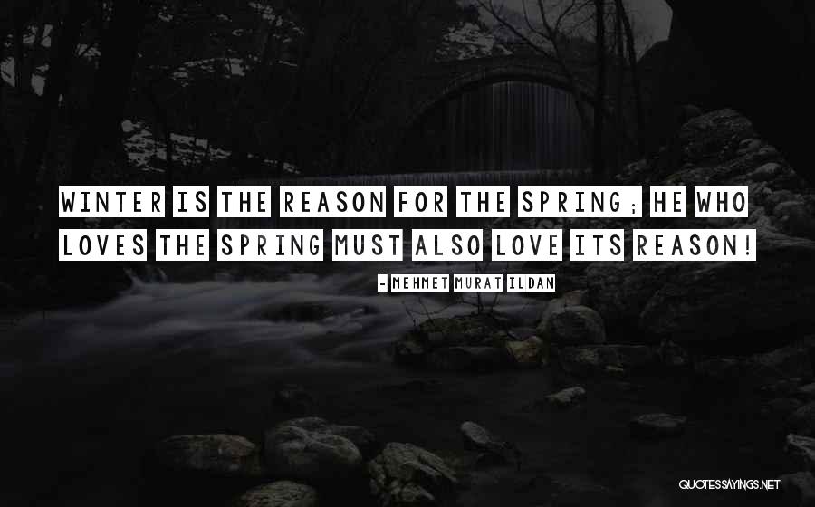 5th Month Anniversary Quotes By Mehmet Murat Ildan 5th Month Anniversary Quotes By Mehmet Murat Ildan