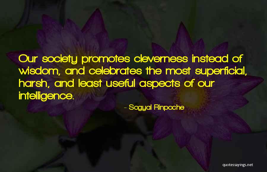 5th Street Quotes By Sogyal Rinpoche 5th Street Quotes By Sogyal Rinpoche