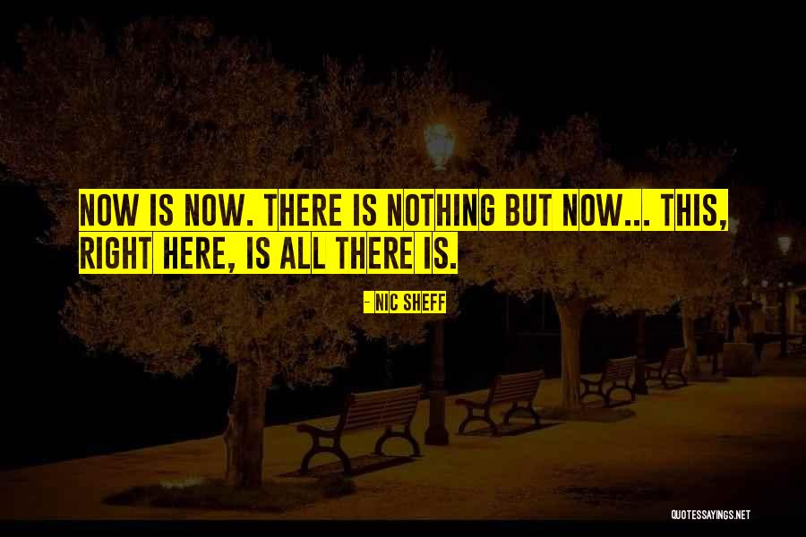 5youy Quotes By Nic Sheff 5youy Quotes By Nic Sheff