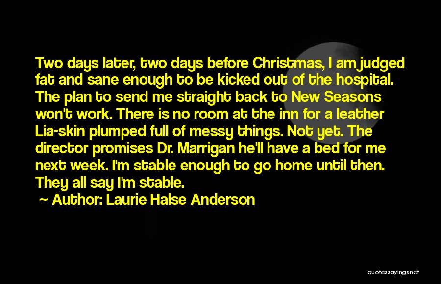 6 Days Before Christmas Quotes By Laurie Halse Anderson