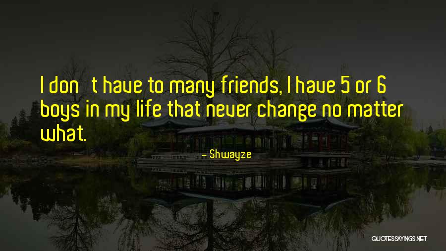 6 Friends Quotes By Shwayze