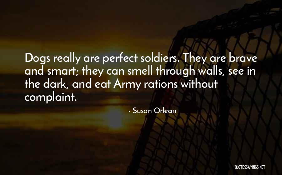 6 Year Anniversary Iron Quotes By Susan Orlean 6 Year Anniversary Iron Quotes By Susan Orlean