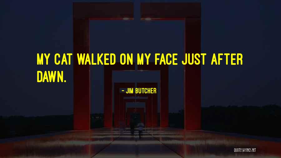 60 Best Selected Quotes By Jim Butcher 60 Best Selected Quotes By Jim Butcher
