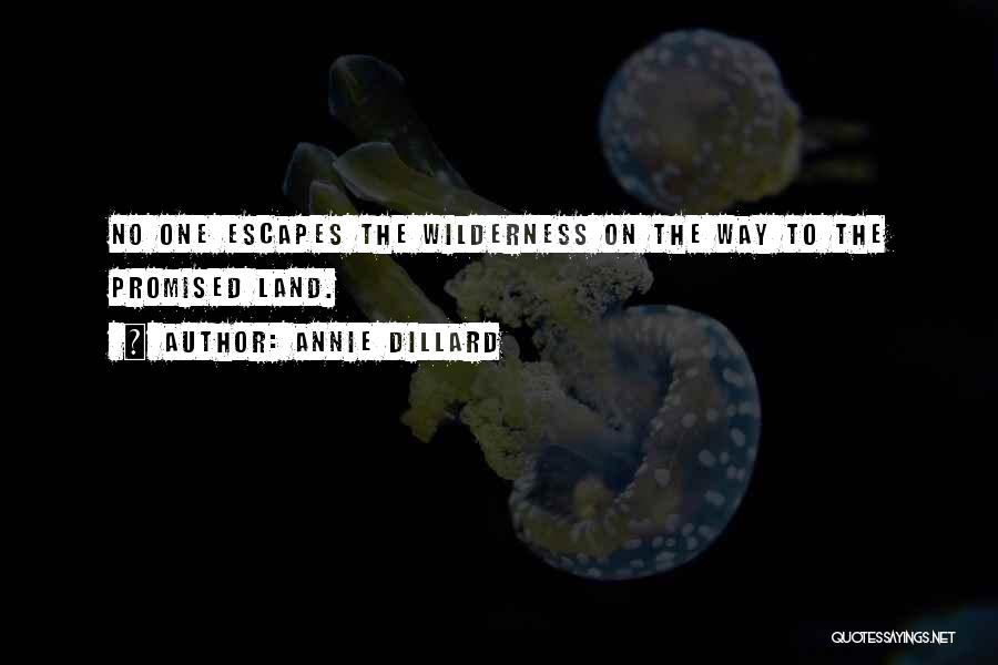 Annie Dillard Quotes: No One Escapes The Wilderness On The Way To The Promised Land.