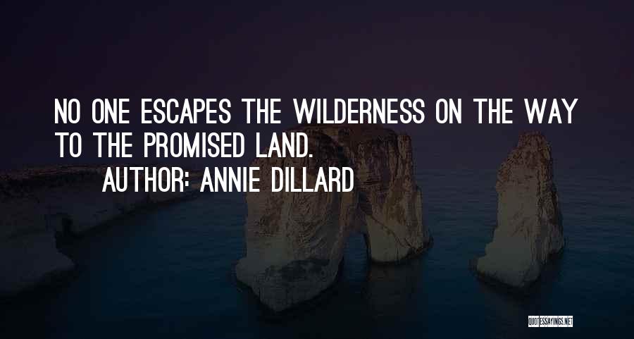 Annie Dillard Quotes: No One Escapes The Wilderness On The Way To The Promised Land.