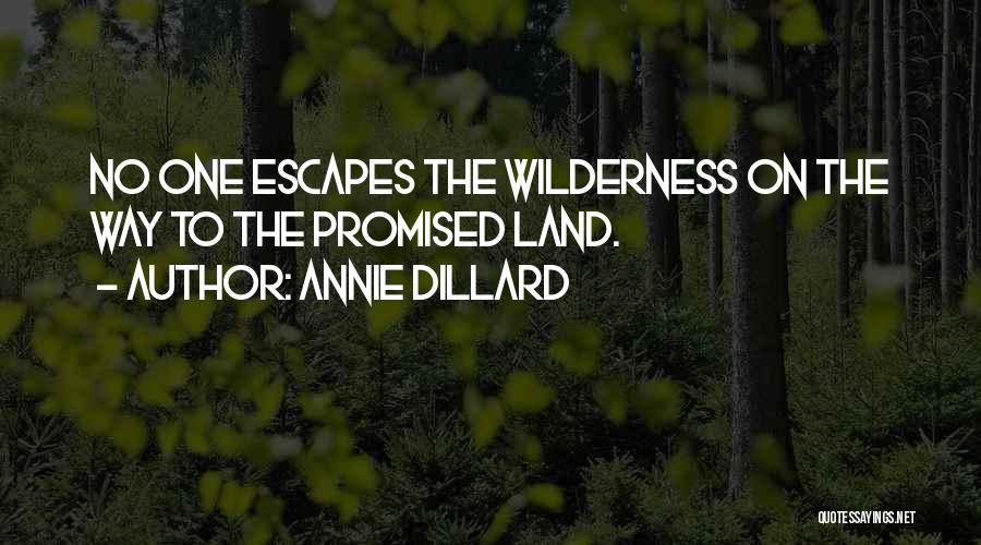 Annie Dillard Quotes: No One Escapes The Wilderness On The Way To The Promised Land.