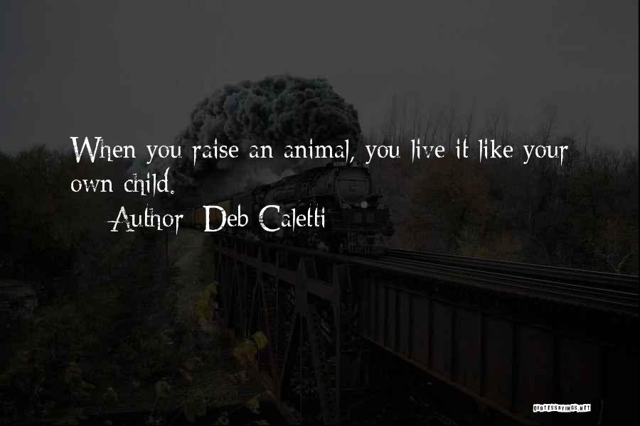 Deb Caletti Quotes: When You Raise An Animal, You Live It Like Your Own Child.