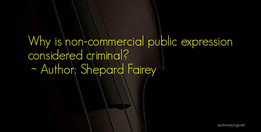 Shepard Fairey Quotes: Why Is Non-commercial Public Expression Considered Criminal?