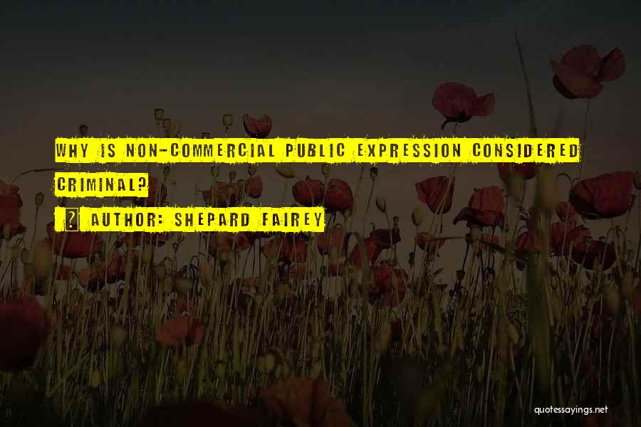 Shepard Fairey Quotes: Why Is Non-commercial Public Expression Considered Criminal?