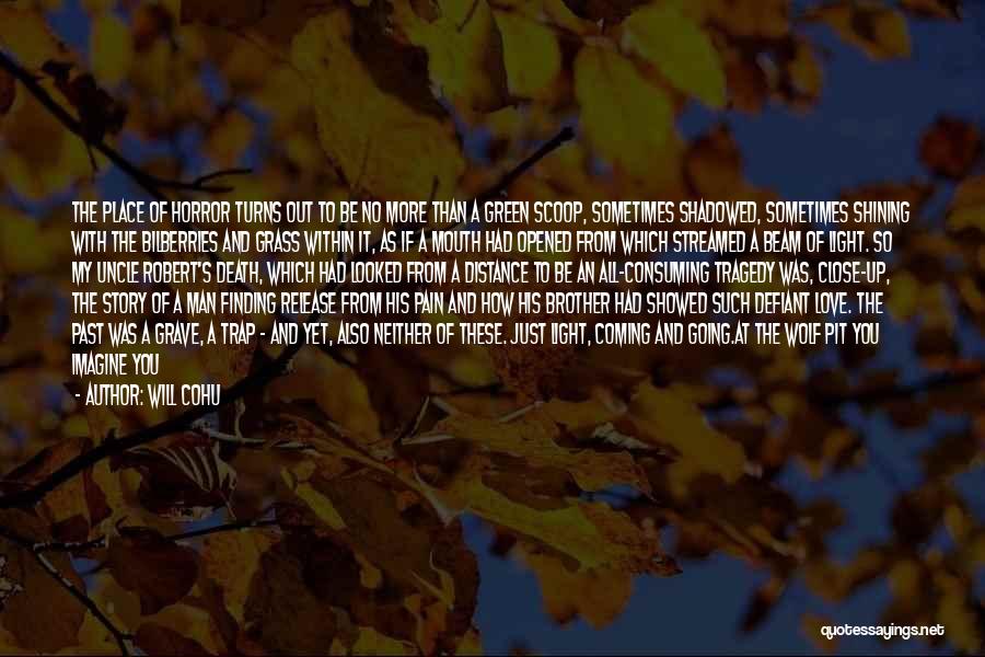 Will Cohu Quotes: The Place Of Horror Turns Out To Be No More Than A Green Scoop, Sometimes Shadowed, Sometimes Shining With The