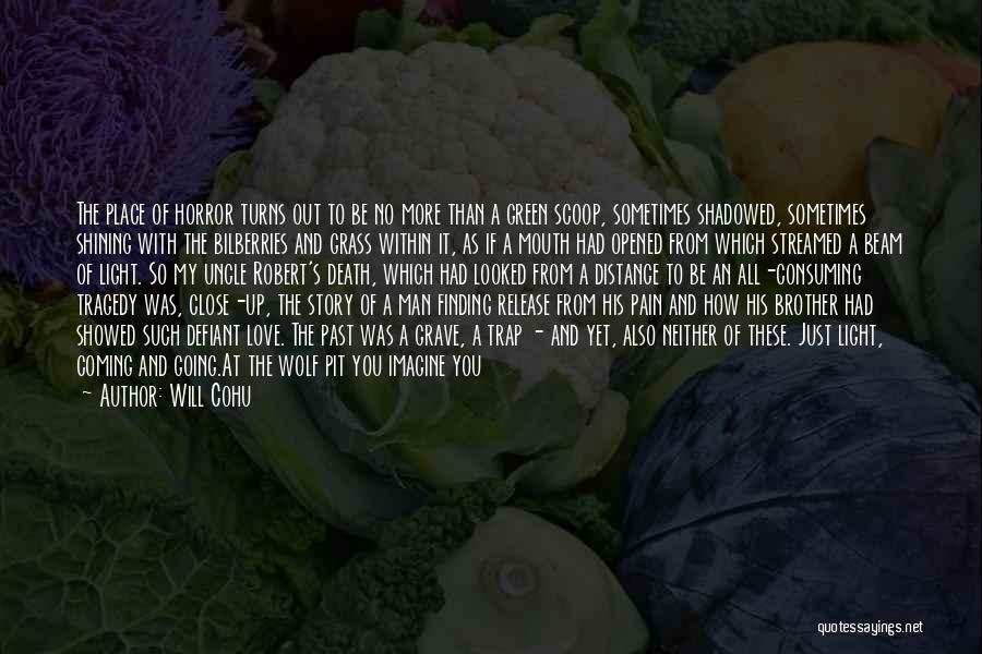 Will Cohu Quotes: The Place Of Horror Turns Out To Be No More Than A Green Scoop, Sometimes Shadowed, Sometimes Shining With The