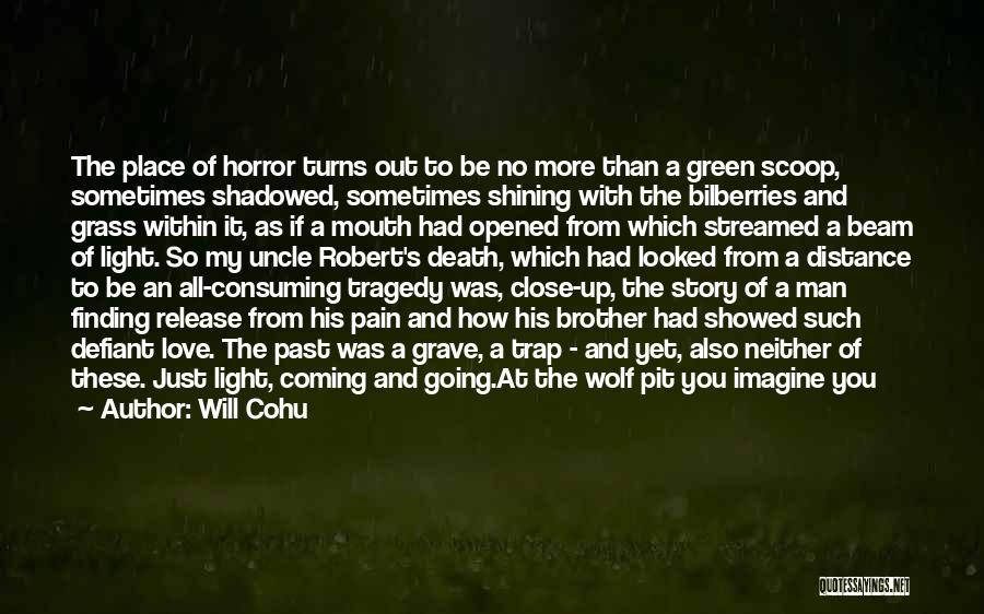 Will Cohu Quotes: The Place Of Horror Turns Out To Be No More Than A Green Scoop, Sometimes Shadowed, Sometimes Shining With The