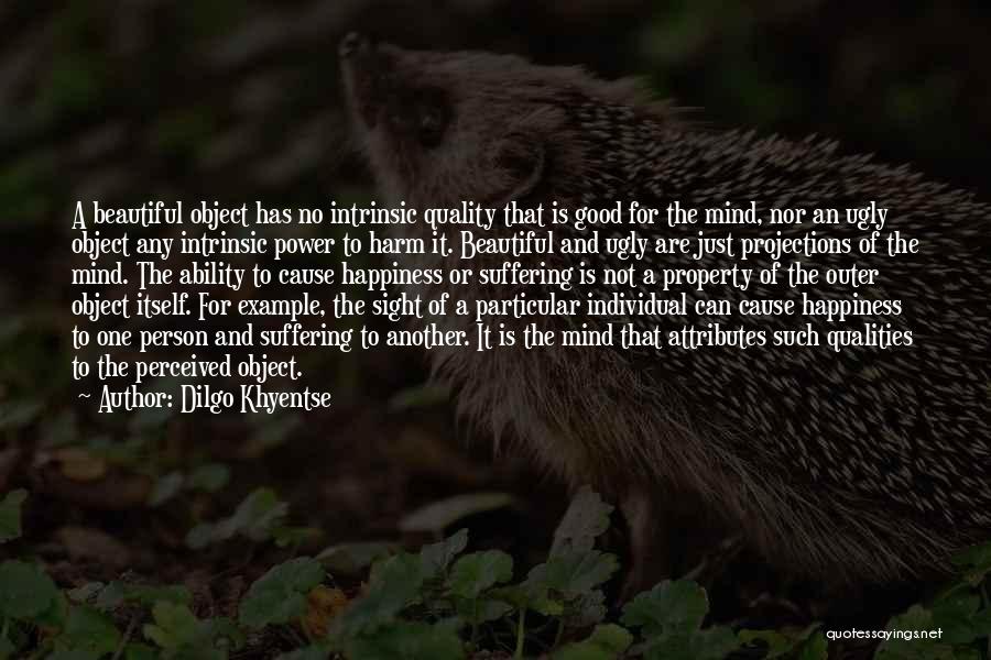 Dilgo Khyentse Quotes: A Beautiful Object Has No Intrinsic Quality That Is Good For The Mind, Nor An Ugly Object Any Intrinsic Power
