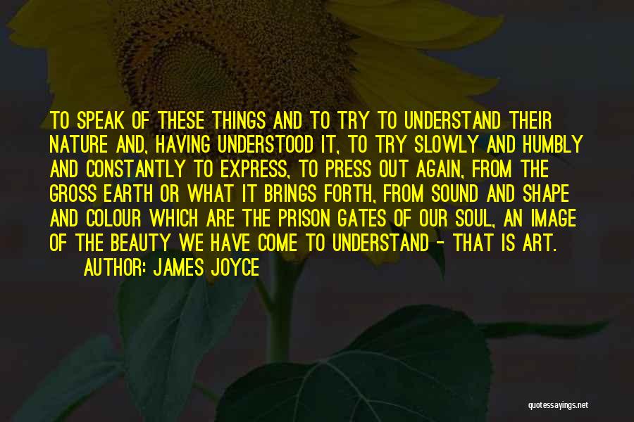 James Joyce Quotes: To Speak Of These Things And To Try To Understand Their Nature And, Having Understood It, To Try Slowly And