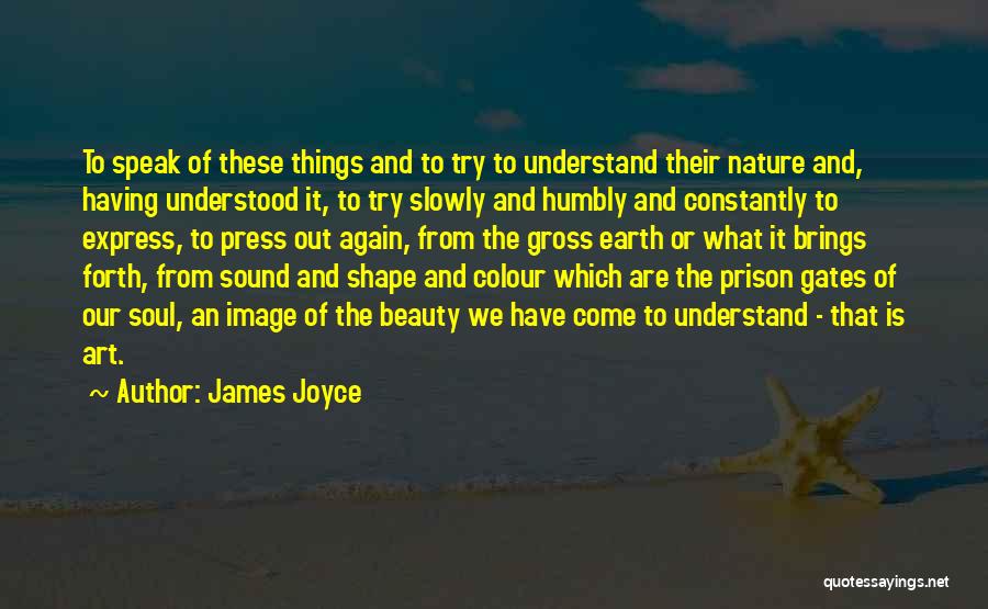 James Joyce Quotes: To Speak Of These Things And To Try To Understand Their Nature And, Having Understood It, To Try Slowly And