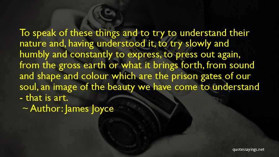 James Joyce Quotes: To Speak Of These Things And To Try To Understand Their Nature And, Having Understood It, To Try Slowly And