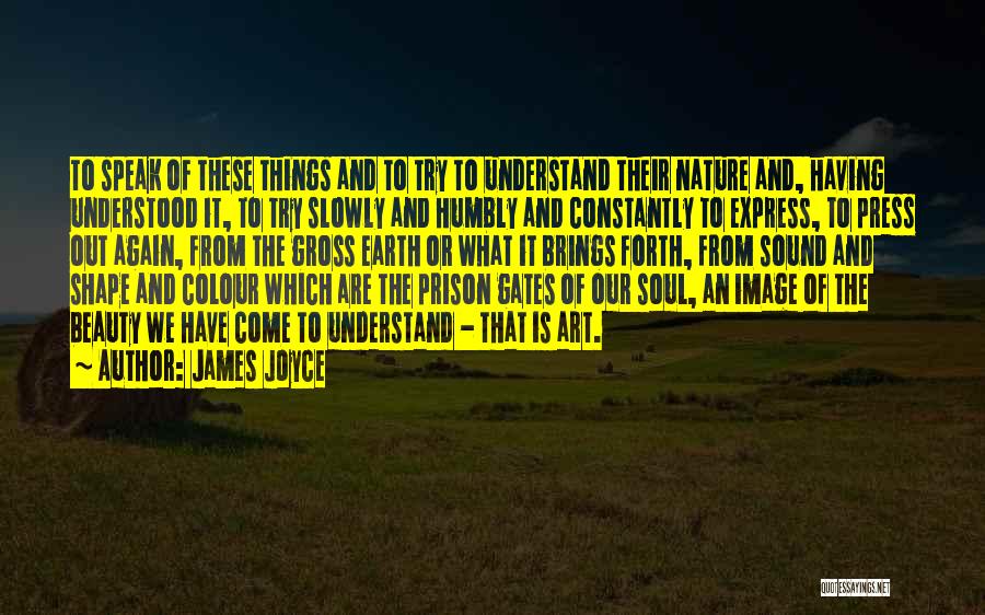 James Joyce Quotes: To Speak Of These Things And To Try To Understand Their Nature And, Having Understood It, To Try Slowly And