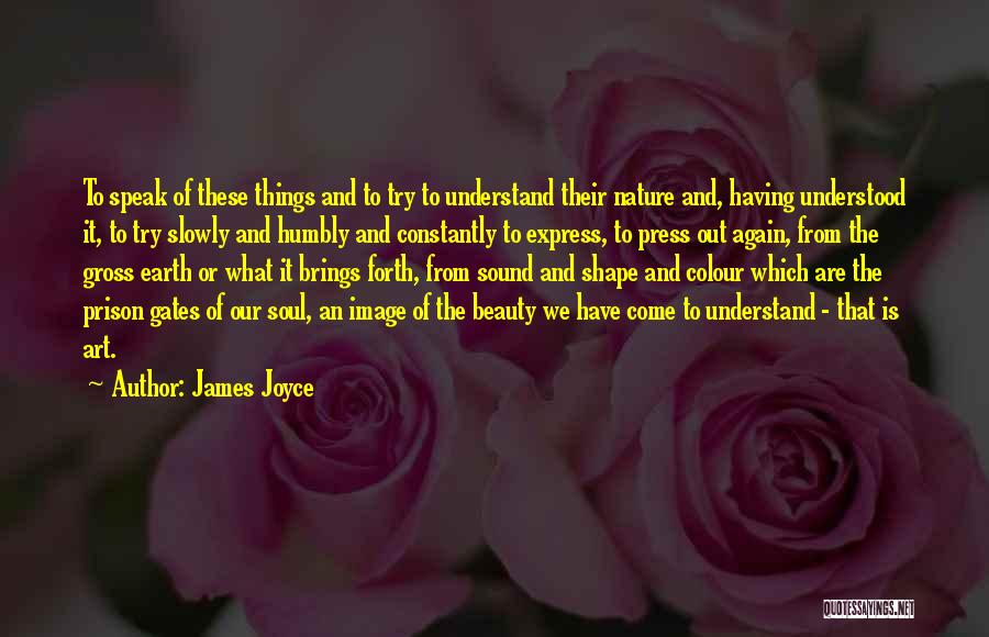 James Joyce Quotes: To Speak Of These Things And To Try To Understand Their Nature And, Having Understood It, To Try Slowly And