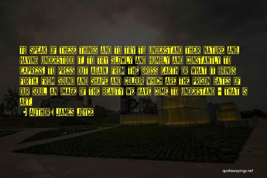 James Joyce Quotes: To Speak Of These Things And To Try To Understand Their Nature And, Having Understood It, To Try Slowly And