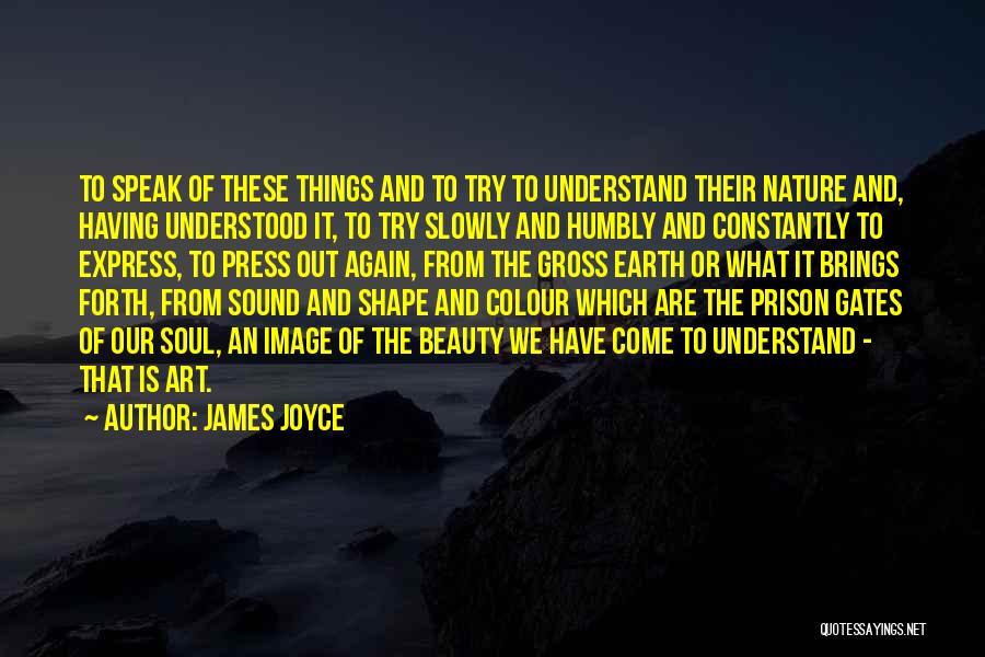 James Joyce Quotes: To Speak Of These Things And To Try To Understand Their Nature And, Having Understood It, To Try Slowly And