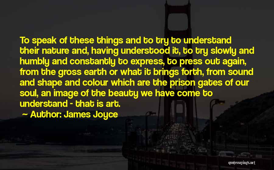 James Joyce Quotes: To Speak Of These Things And To Try To Understand Their Nature And, Having Understood It, To Try Slowly And