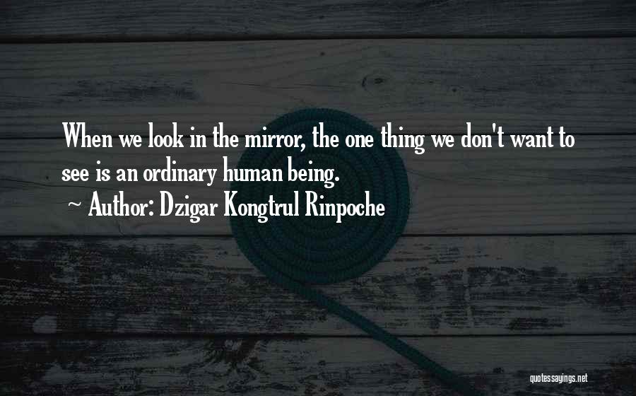 Dzigar Kongtrul Rinpoche Quotes: When We Look In The Mirror, The One Thing We Don't Want To See Is An Ordinary Human Being.