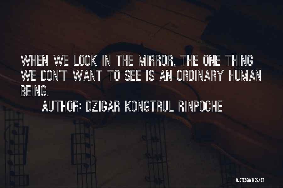 Dzigar Kongtrul Rinpoche Quotes: When We Look In The Mirror, The One Thing We Don't Want To See Is An Ordinary Human Being.