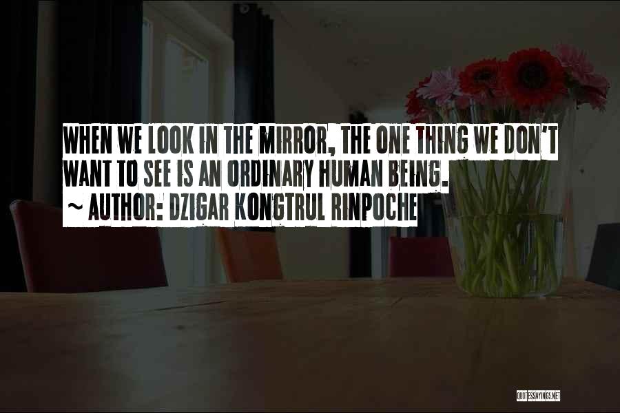 Dzigar Kongtrul Rinpoche Quotes: When We Look In The Mirror, The One Thing We Don't Want To See Is An Ordinary Human Being.