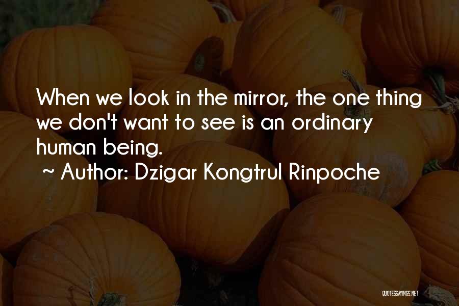 Dzigar Kongtrul Rinpoche Quotes: When We Look In The Mirror, The One Thing We Don't Want To See Is An Ordinary Human Being.