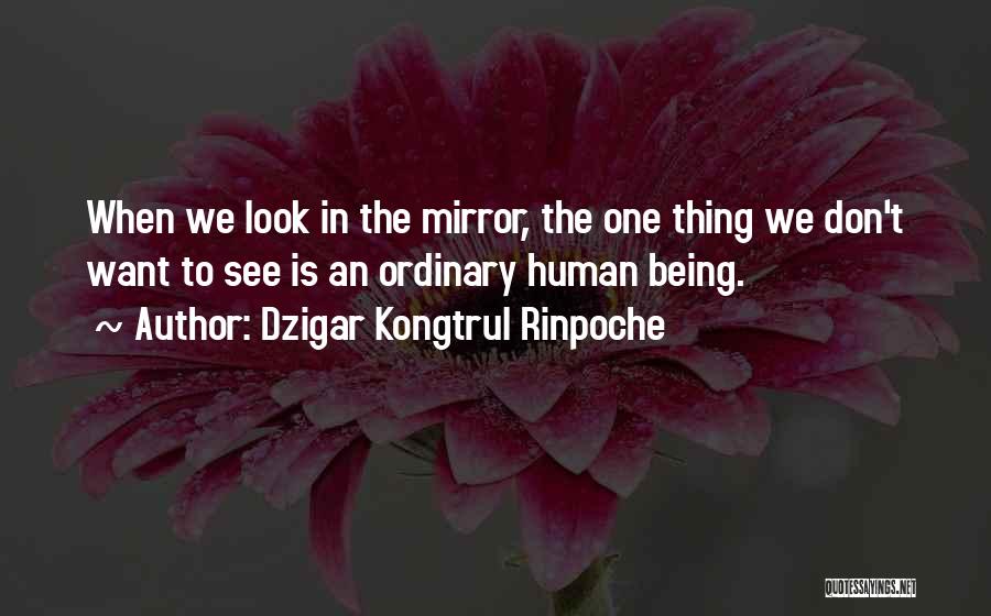 Dzigar Kongtrul Rinpoche Quotes: When We Look In The Mirror, The One Thing We Don't Want To See Is An Ordinary Human Being.