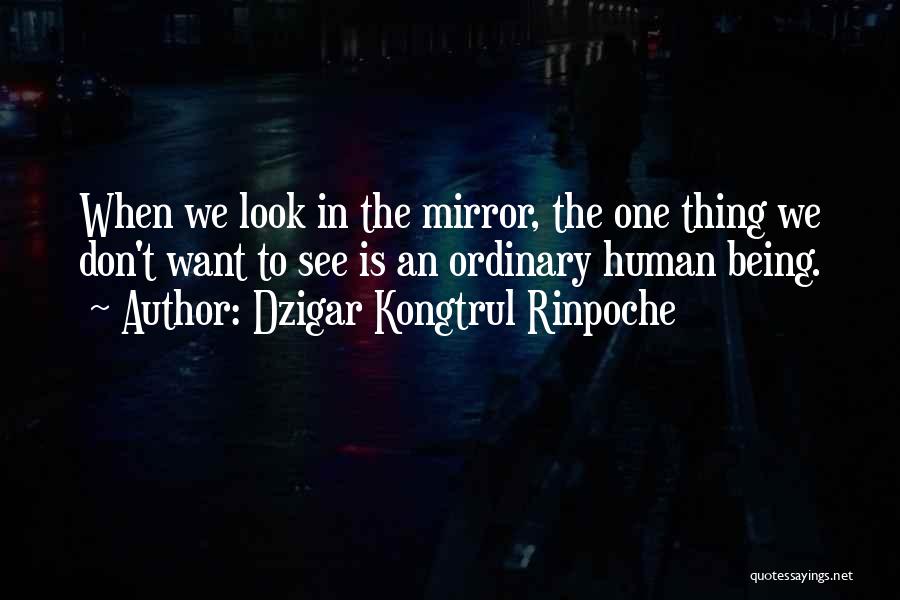 Dzigar Kongtrul Rinpoche Quotes: When We Look In The Mirror, The One Thing We Don't Want To See Is An Ordinary Human Being.